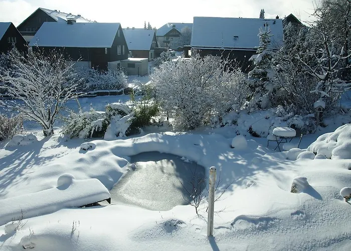 Lejlighed Rothaarnest Winterberg