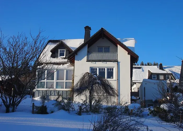 Rothaarnest Lejlighed Winterberg